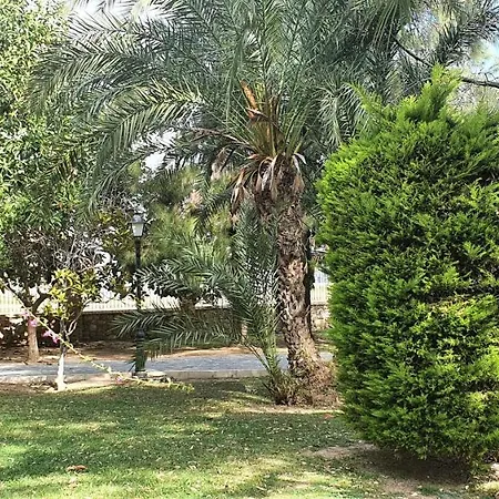 Appartement Ecaterina Torrevieja