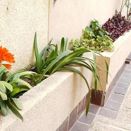 Appartement Ecaterina Torrevieja