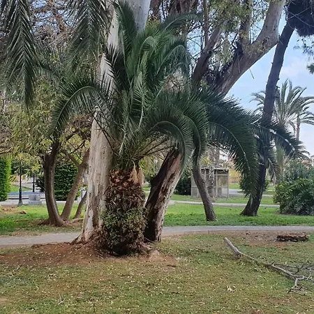 דירה Ecaterina טורבייחה